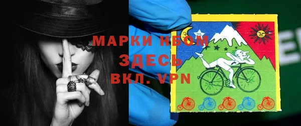 хмурый Алексин
