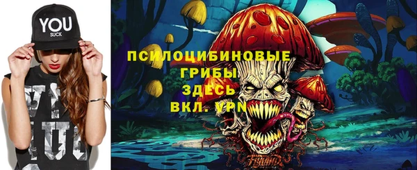 дмт Абдулино