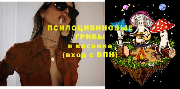 твердый Железногорск-Илимский